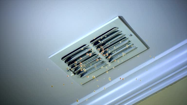 Best HVAC Duct Inspection Services  in Addison, IL